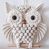 Owl Tapestry Hand-Woven Owl Dream Catcher Wall Hanging Macrame Tassel Boho Decor Diy Apartment Dorm Room Home Decoration