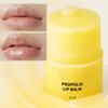 Honey Lip Propolis Lip Balm  Tin Ted Lip Balm Hydrating Overnight Lip Long-lasting Care Of Lip Skin Smooth Lips  Fade Lip Line