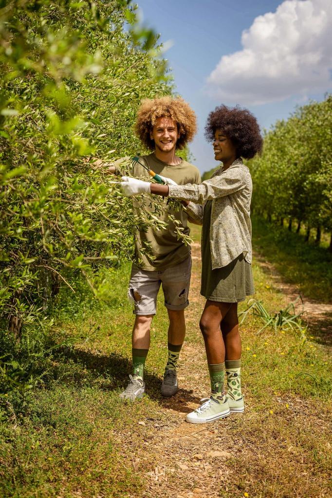 Оливки - разноцветные носки 36-39