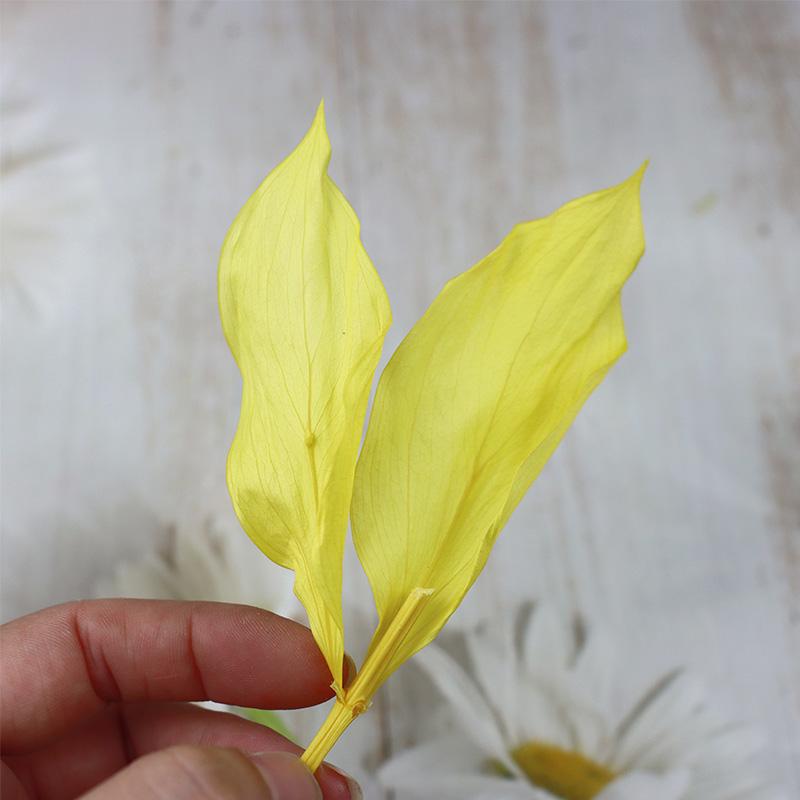 DIY Floral Art Ornament: Preserved Tangerine & Fishtail Leaf, Lily, Bamboo Dried Flowers – Ikebana Photo Prop for Home Décor.