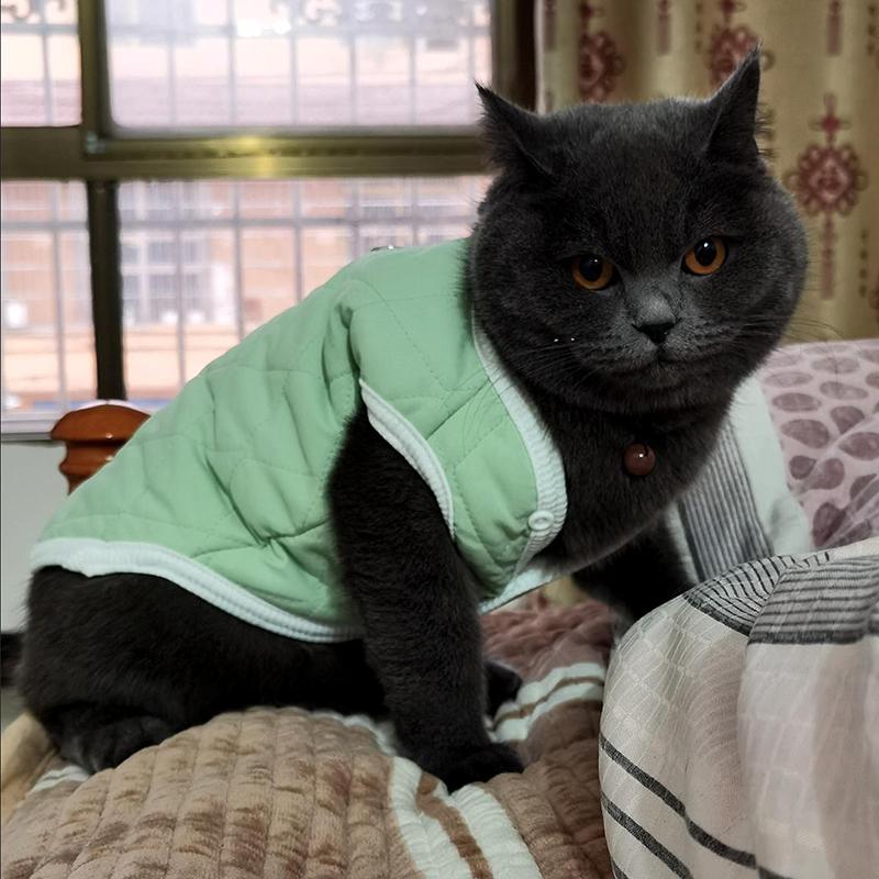Зимняя теплая кошачья куртка-пальто для кошек, милый принт, одежда для питомцев с тяговым кольцом, сфинкс, сиамский котенок, поводок для прогулок, костюм для питомцев