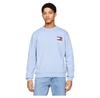 Reg Essential Flag Ext Sweatshirt