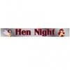 Amscan Good Girl/Bad Girl Foil Hen Night Banner