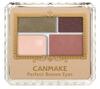 Canmake Perfect Brown Eyes 06 Antique Khaki 3,6 г