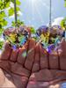 2pcsheart-shaped Crystal Sun Traps, a Rainbow-making Device for Windows, and a Hanging Garden Sun Trap with Glass Prisms, Suitab