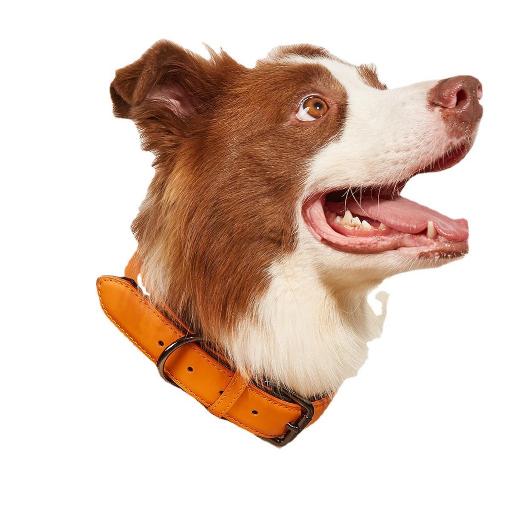 Новый ошейник из натуральной кожи для домашних животных, регулируемый ошейник для собак малого и среднего размера