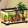 Aquarium for Betta Fish And Reptiles 34x21x20 Cm Clear Design