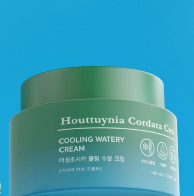 Tonymoly Houttuynia Cordata Cica Охлаждающий водянистый крем 100 мл