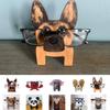 Handmade Animal Eyeglass Stand Carving Eyeglass Display Rack Wooden Ornament  For Sunglasses