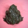 1 шт. Забавная лягушка-игрушка для снятия стресса, розыгрышей, реквизит для друзей