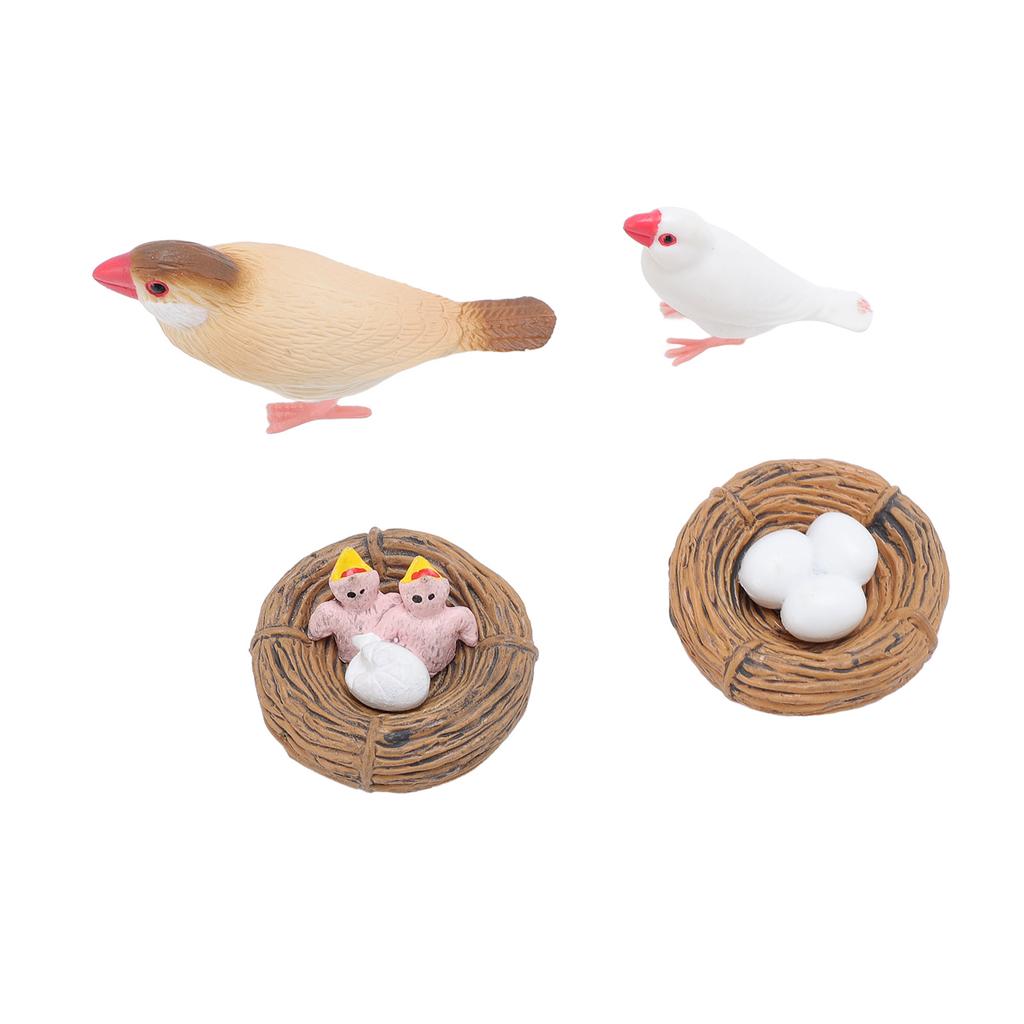 4 шт. Фигурки птиц из ПВХ для детей, реалистичные развивающие игрушки для цикла роста животных