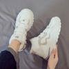 Popular Sports Shoes Women's Plush 2023 Autumn and Winter New High Top Versatile Dad Running Casual Cotton Shoes Trend