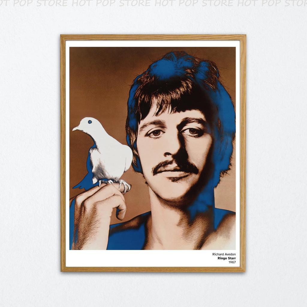 Коллекция каменоломенов Ричарда Аведона, легендарные британские певцы, музыкальное полотно, постер, роскошный эстетический декор для дома, комнат