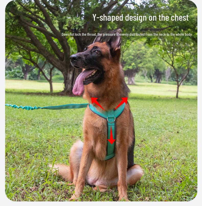 Регулируемый дышащий жилет для собак с взрывозащищенным тяговым тросом