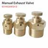 1 шт. PN 1,6 МПа, ручной выпускной клапан, предохранительный клапан, выпускной клапан сопла, прочный клапан выпуска воздуха