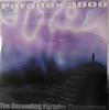 Пластинка 12 дюймов PARADOX 3000 One Princeless Moment Bump Body B PUNK9018 PUNK FUNK UK Dance Electronica Б/у