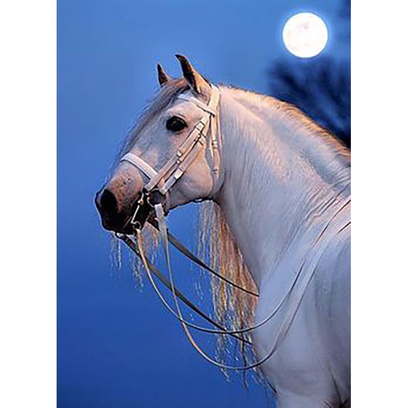 DIY Лошадь 5D алмазная живопись полная круглая дрель животное Алмазная вышивка наборы крестиков мозаика из бисера украшение дома подарок