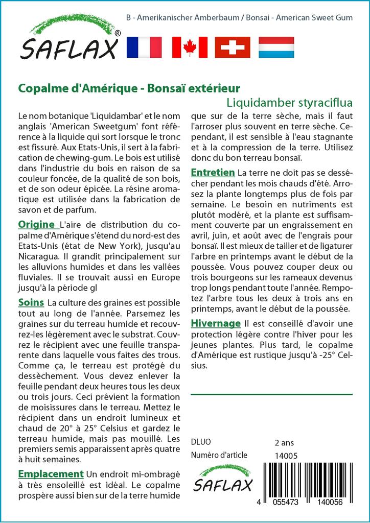 SAFLAX Garden in the Bag - Бонсай - American Sweet Gum - 100 семян - С субстратом в подходящем пакете - Liquidamber styraciflua