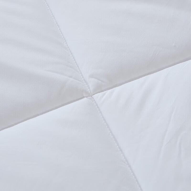 FUANNA Pure Cotton Fiber Winter Quilt