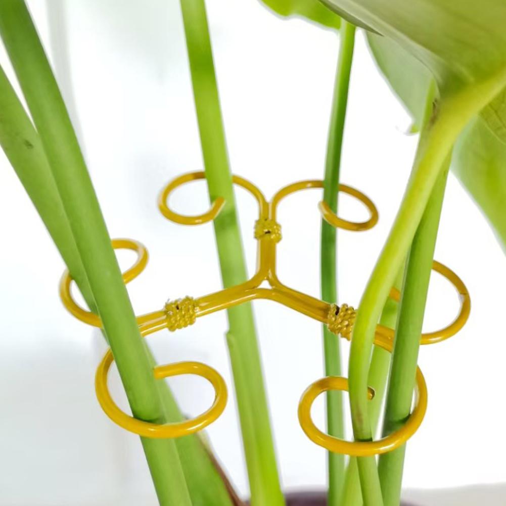 5Pcs Plant Stem Support Reusable Monstera Plant Support Plant Stem Holder Plant Stabilizer