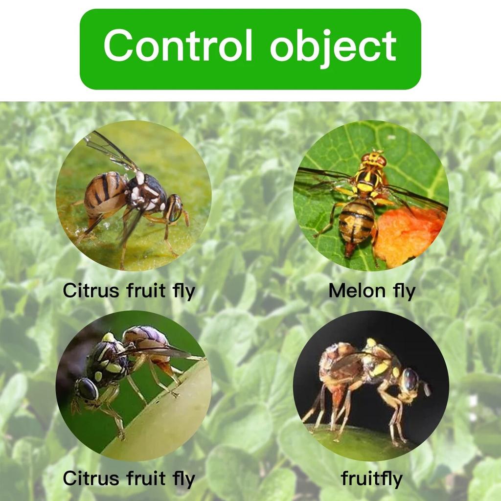 Сферическая ловушка для плодовой мушки с сильным клеем для садовых ферм
