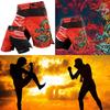 Шорты для тренировок MMA Dragon, кикбоксинг, муай тай, спортивные штаны для фитнеса, тренировки