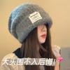 Hat Women's Patch Simple Design Trend Thickened Wool Hat 2025 Winter New Ear Protector Knitted Hat