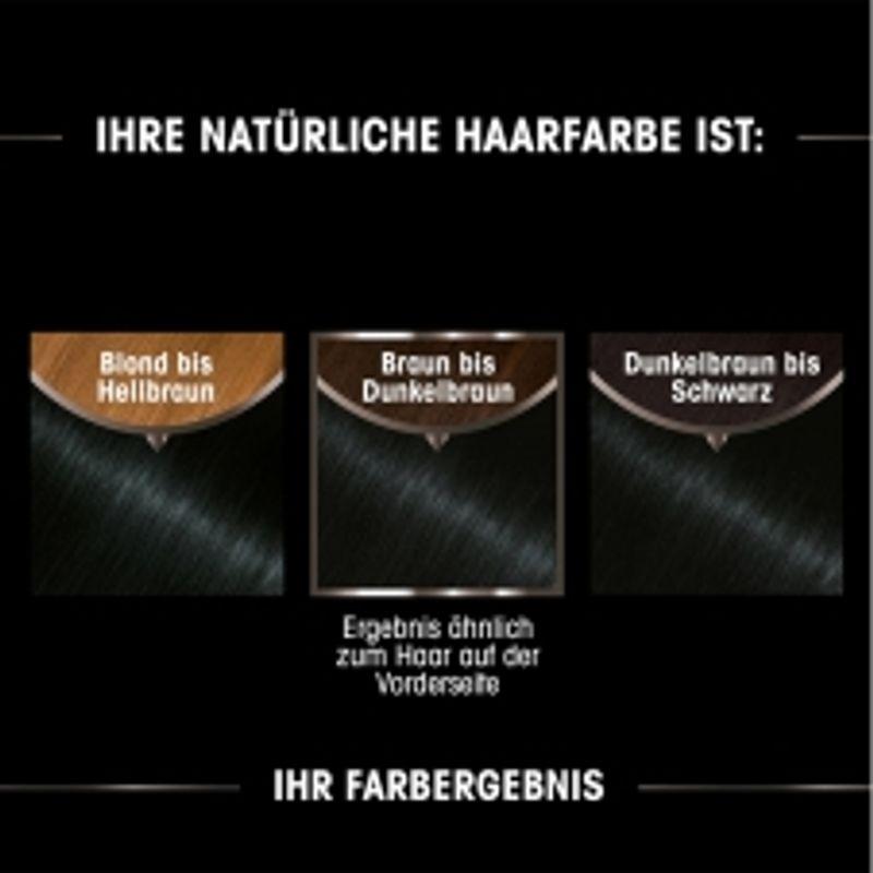 Garnier Olia Краска для волос 110 Холодный пепельно-русый