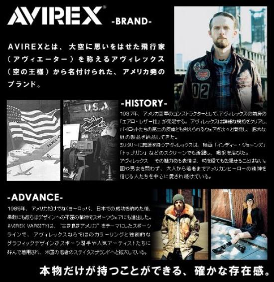 Сумка через плечо AVIREX Eagle, поясная сумка, сумка на бедро, 2-сторонняя AVX342L [Avirex] Мужская женская avirex-013 (песок)