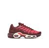 Кроссовки Air Max Plus