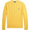 Polo Solid Color Crew Neck Embroidered Pony Cable Knit Sweater Men Sweater Yellow 100054978