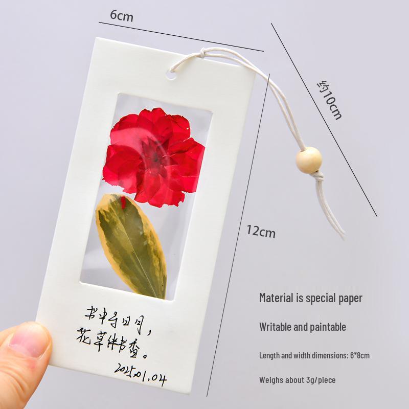 Dried Flower & Plant Specimens Transparent Glass Bookmarks with Labels & Memo Notes