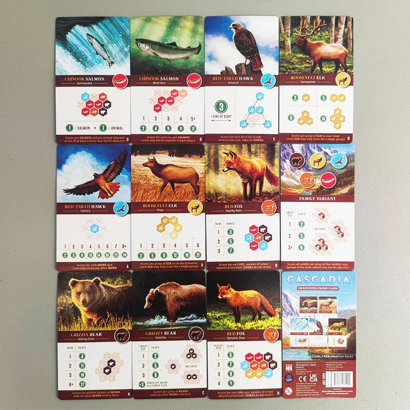 Каскадия Настольная игра | Стратегическая и соревновательная игра для 1-4 игроков | Создайте самую гармоничную экосистему | Английская семейная игра