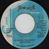 7-дюймовая пластинка LECTURER Punnany Too Sweet NONE Jammys Records 1987 Ямайка Регги Ска Даб Б/у