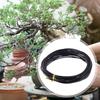 5M Bonsai Wire Anodized Aluminum Bonsai Training Wire 1.0mm, 1.5mm, 2.0mm, 2.5mm, 3mm Bonsai Binding Wire For Plant Shapes