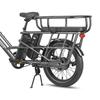 Fafrees FF20 CUV - Vélo cargo électrique - 250 W - 48 V - 24 Ah - Vitesse maximale 25 km/h - Gris - Avec porte-bagages arrière