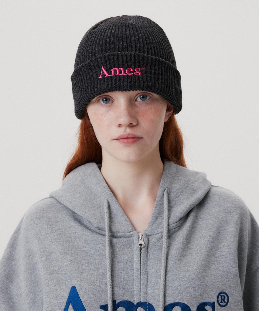 AMES-WORLDWIDE Базовая шапка с логотипом Угольный