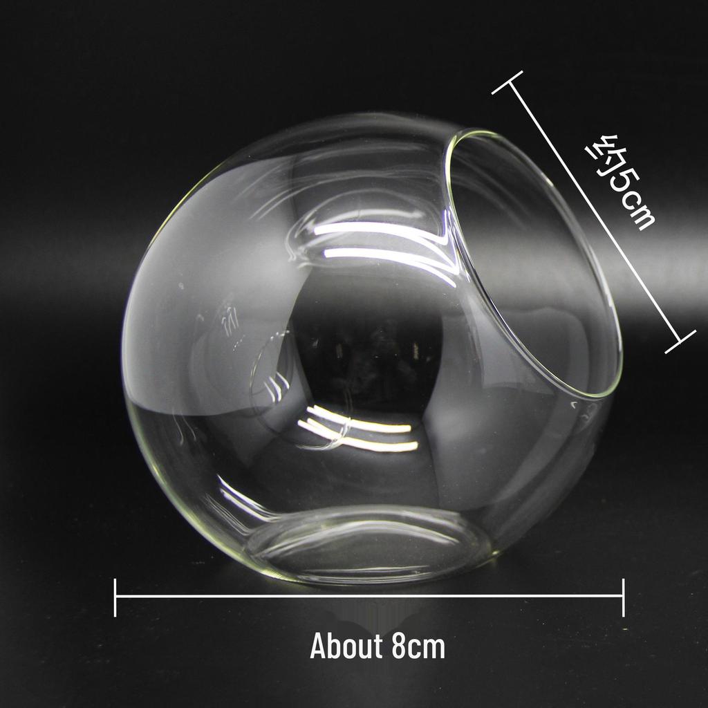 Круглая стеклянная ваза с косым горлышком для суккулентов и микроландшафтов