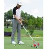 Picker Collector Rolling Fruit Picker Ball Picker Nut Harvester Fruit Picker Ball Collector