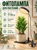Phyto Lamp