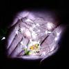 TG66255-1 CHRISTMAS TREE LIGHTS ON WIRE 20 LED MICRO GARLAND COOL WHITE + batteries