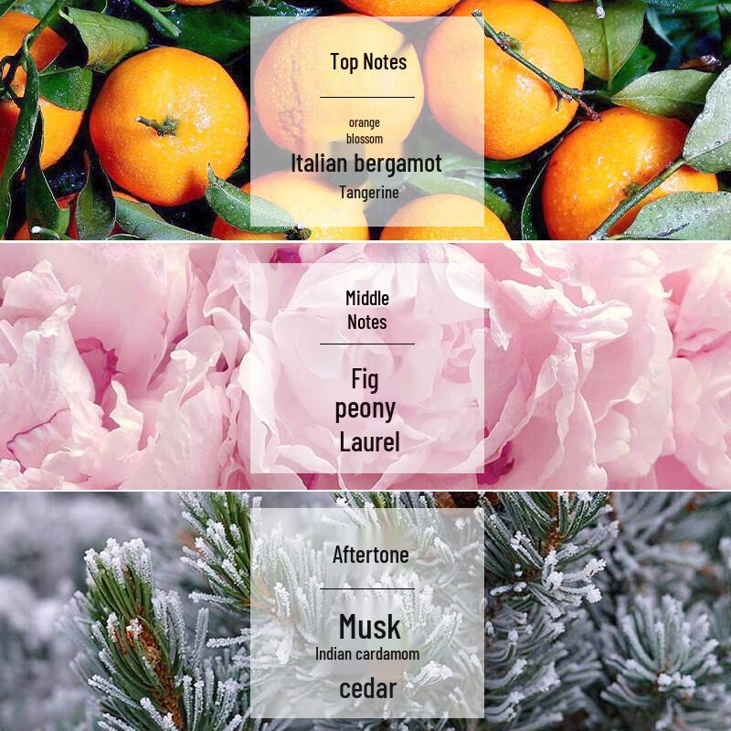 Kérastase Chroma Absolu Clarifying Shampoo 5 x 80ml Set