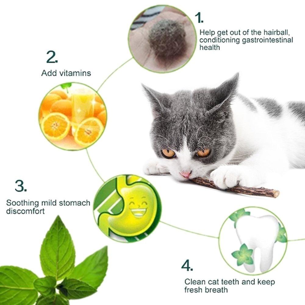 5/10pcs Organic Catnip Toys Natural Plants Cat Teeth Cleaning Chew Toys