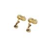 Used DiorEarring metal Women