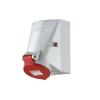 MENNEKES Industrial Socket Connector, 5-Pin 32A 400V