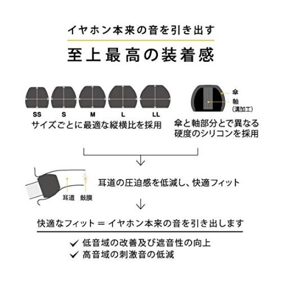 Final Earpiece E Type ALL Size 10 Pieces Black FI-EPEBLBL2A4