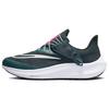 (WMNS) Женские кроссовки Air Zoom Pegasus 39 FlyEase 'Deep Jungle Metallic Silver' DJ7383-301