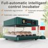 48/72 Eggs Incubator for Chicken Goose Bird Quail Incubation Tools Full-automatic Intelligent Control Incubation Equipment