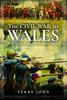 Книга The Civil War In Wales : The Scouring of the Nation