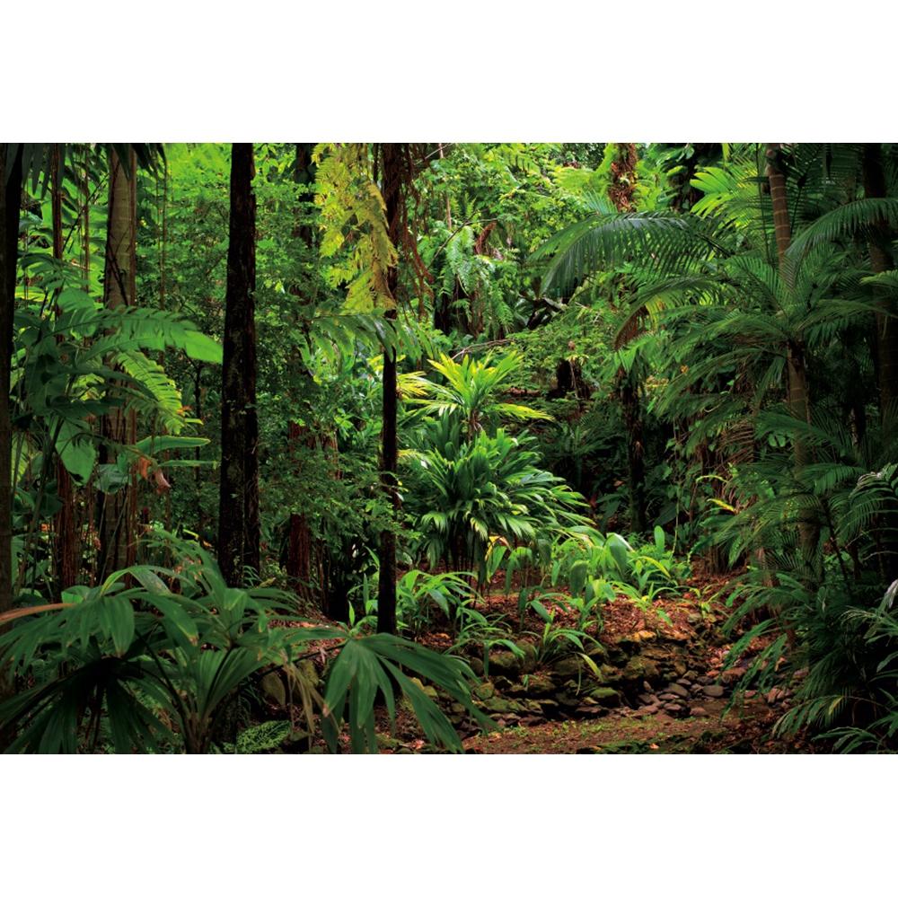 Spring Forest Backdrop Tropical Jungle Rainforest Backdrops for Photography Camping Adventure Birthday Background Photo Studio